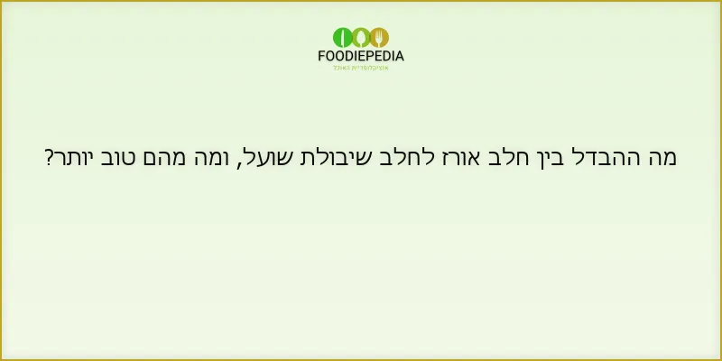 מה ההבדל בין חלב אורז לחלב שיבולת שועל, ומה מהם טוב יותר?