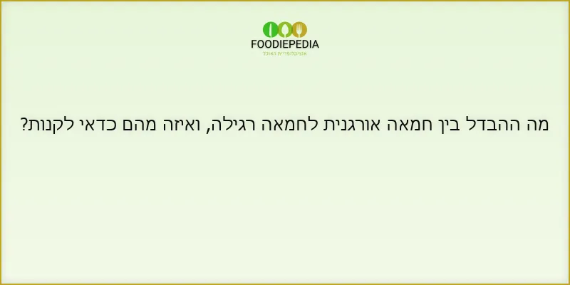 מה ההבדל בין חמאה אורגנית לחמאה רגילה, ואיזה מהם כדאי לקנות?