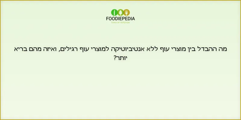 מה ההבדל בין מוצרי עוף ללא אנטיביוטיקה למוצרי עוף רגילים, ואיזה מהם בריא יותר?