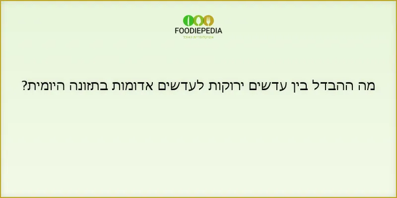 מה ההבדל בין עדשים ירוקות לעדשים אדומות בתזונה היומית?