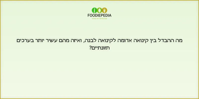 מה ההבדל בין קינואה אדומה לקינואה לבנה, ואיזה מהם עשיר יותר בערכים תזונתיים?