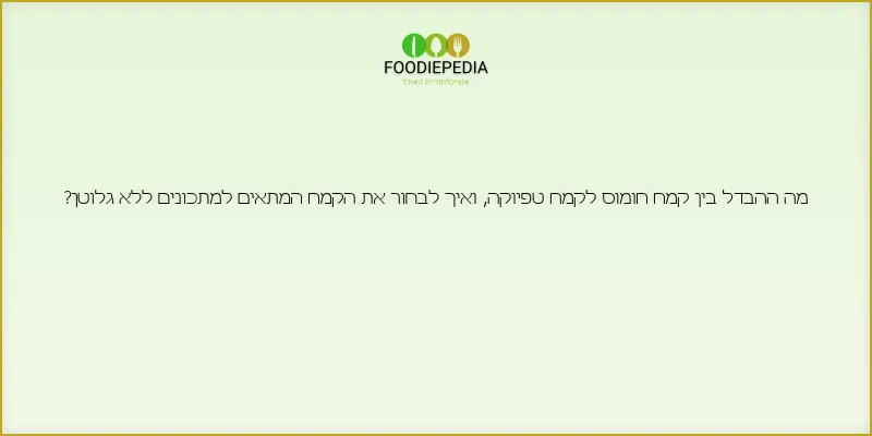 מה ההבדל בין קמח חומוס לקמח טפיוקה, ואיך לבחור את הקמח המתאים למתכונים ללא גלוטן?