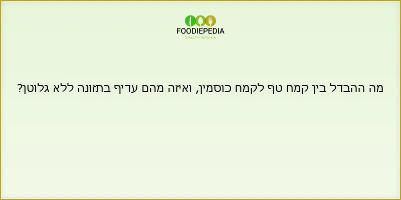 מה ההבדל בין קמח טף לקמח כוסמין, ואיזה מהם עדיף בתזונה ללא גלוטן?