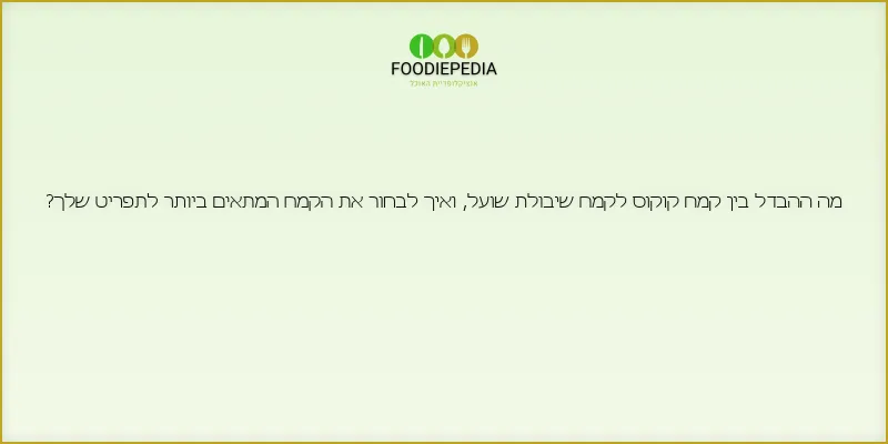 מה ההבדל בין קמח קוקוס לקמח שיבולת שועל, ואיך לבחור את הקמח המתאים ביותר לתפריט שלך?
