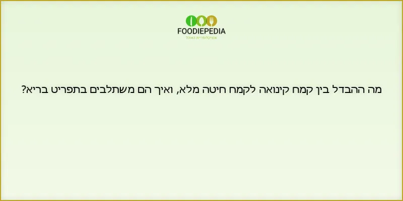 מה ההבדל בין קמח קינואה לקמח חיטה מלא, ואיך הם משתלבים בתפריט בריא?