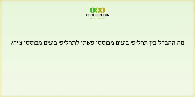 מה ההבדל בין תחליפי ביצים מבוססי פשתן לתחליפי ביצים מבוססי צ’יה?