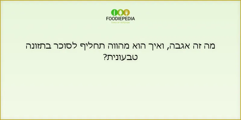 מה זה אגבה, ואיך הוא מהווה תחליף לסוכר בתזונה טבעונית?