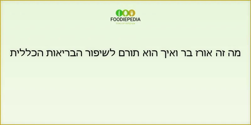 מה זה אורז בר ואיך הוא תורם לשיפור הבריאות הכללית