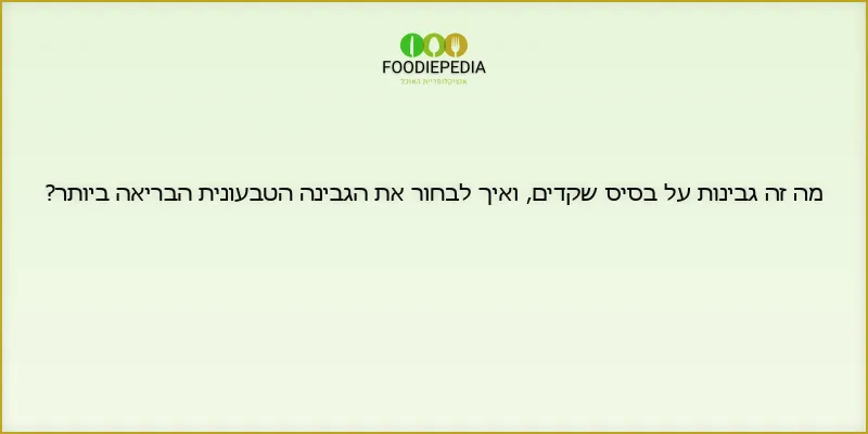 מה זה גבינות על בסיס שקדים, ואיך לבחור את הגבינה הטבעונית הבריאה ביותר?