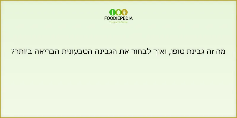 מה זה גבינת טופו, ואיך לבחור את הגבינה הטבעונית הבריאה ביותר?