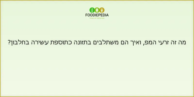 מה זה זרעי המפ, ואיך הם משתלבים בתזונה כתוספת עשירה בחלבון?