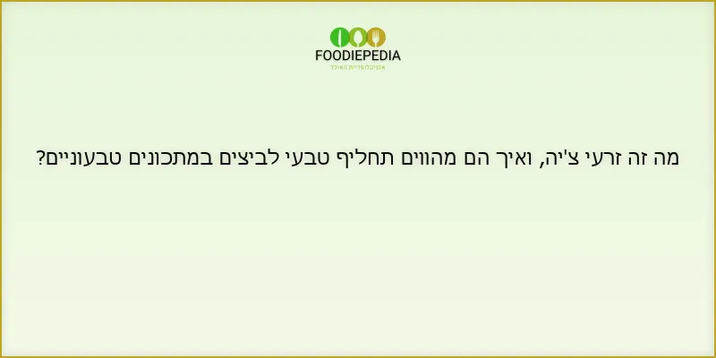 מה זה זרעי צ’יה, ואיך הם מהווים תחליף טבעי לביצים במתכונים טבעוניים?