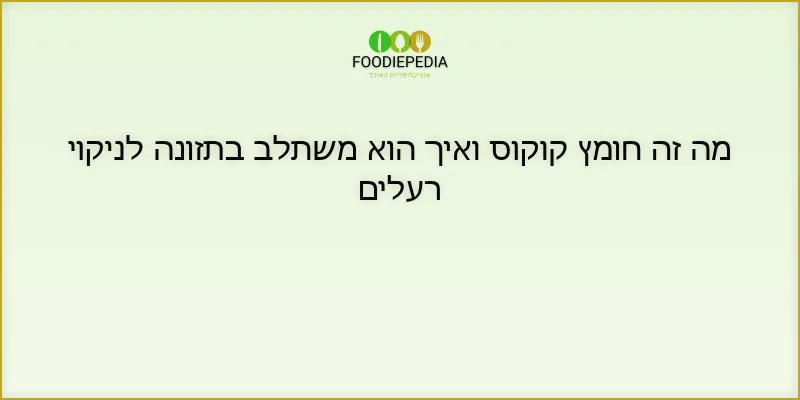 מה זה חומץ קוקוס ואיך הוא משתלב בתזונה לניקוי רעלים