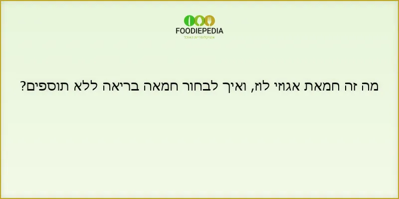 מה זה חמאת אגוזי לוז, ואיך לבחור חמאה בריאה ללא תוספים?