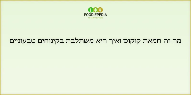 מה זה חמאת קוקוס ואיך היא משתלבת בקינוחים טבעוניים