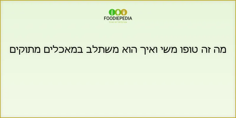 מה זה טופו משי ואיך הוא משתלב במאכלים מתוקים