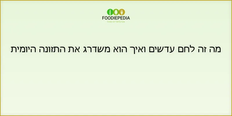מה זה לחם עדשים ואיך הוא משדרג את התזונה היומית