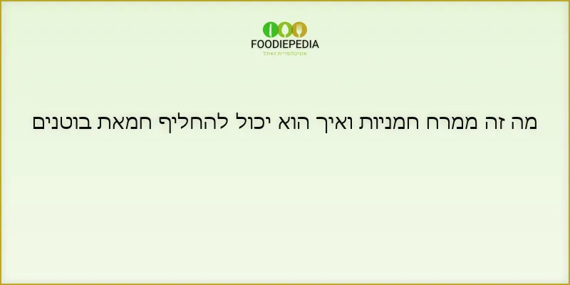 מה זה ממרח חמניות ואיך הוא יכול להחליף חמאת בוטנים