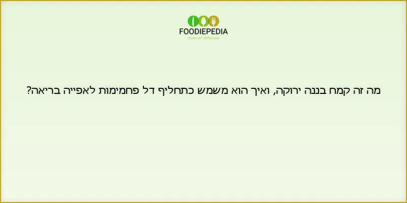 מה זה קמח בננה ירוקה, ואיך הוא משמש כתחליף דל פחמימות לאפייה בריאה?
