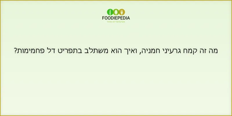 מה זה קמח גרעיני חמניה, ואיך הוא משתלב בתפריט דל פחמימות?