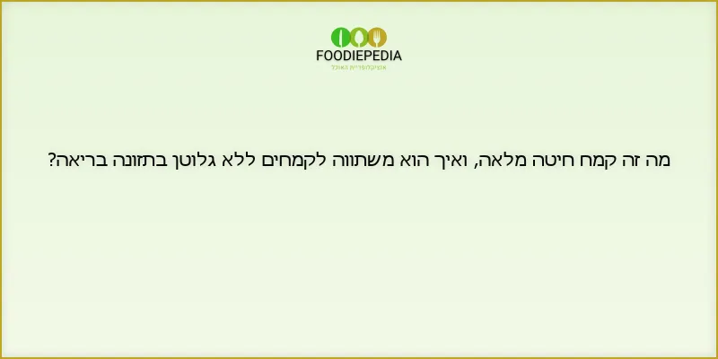 מה זה קמח חיטה מלאה, ואיך הוא משתווה לקמחים ללא גלוטן בתזונה בריאה?