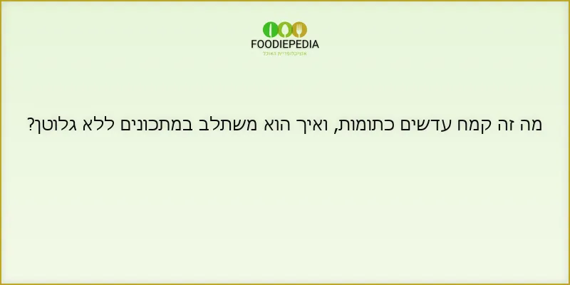 מה זה קמח עדשים כתומות, ואיך הוא משתלב במתכונים ללא גלוטן?