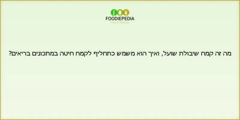 מה זה קמח שיבולת שועל, ואיך הוא משמש כתחליף לקמח חיטה במתכונים בריאים?