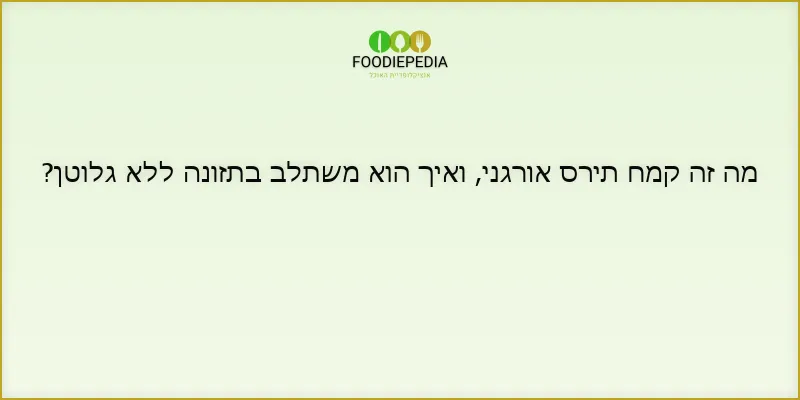 מה זה קמח תירס אורגני, ואיך הוא משתלב בתזונה ללא גלוטן?