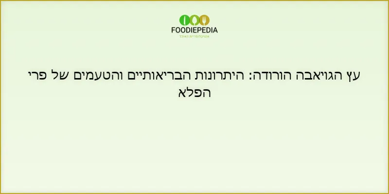 עץ הגויאבה הורודה: היתרונות הבריאותיים והטעמים של פרי הפלא