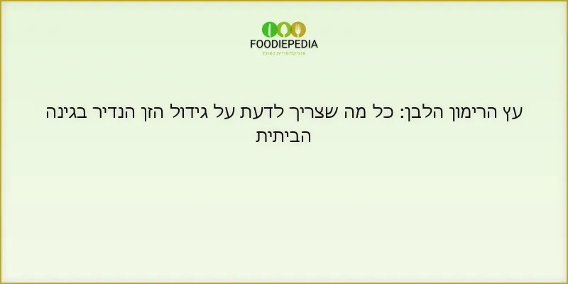 עץ הרימון הלבן: כל מה שצריך לדעת על גידול הזן הנדיר בגינה הביתית