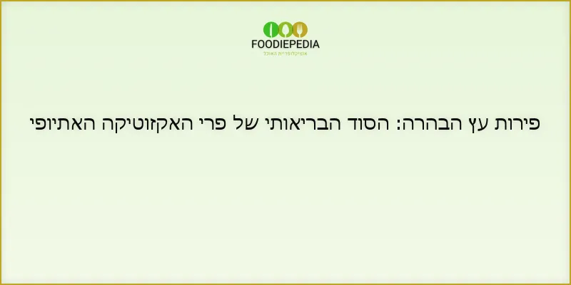 פירות עץ הבהרה: הסוד הבריאותי של פרי האקזוטיקה האתיופי