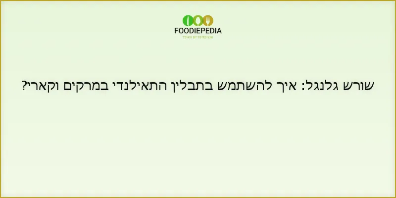 שורש גלנגל: איך להשתמש בתבלין התאילנדי במרקים וקארי?